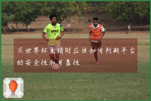 买世界杯竞猜时应该如何判断平台的安全性和可靠性
