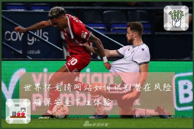 世界杯竞猜网站如何识别潜在风险，确保安全下注体验