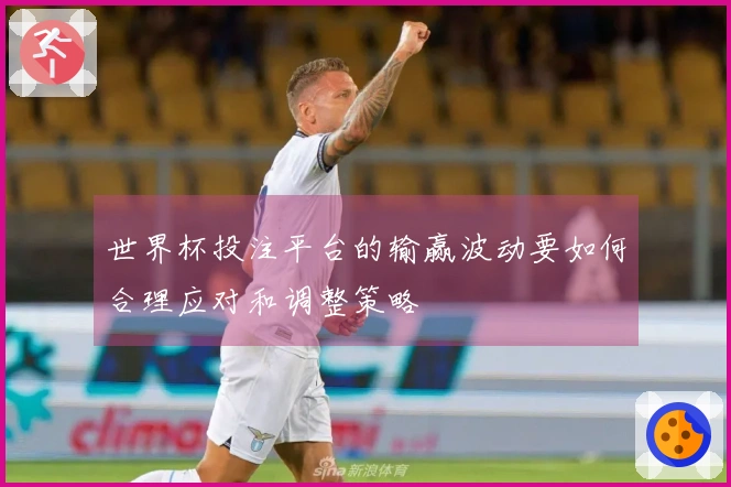 世界杯投注平台的输赢波动要如何合理应对和调整策略