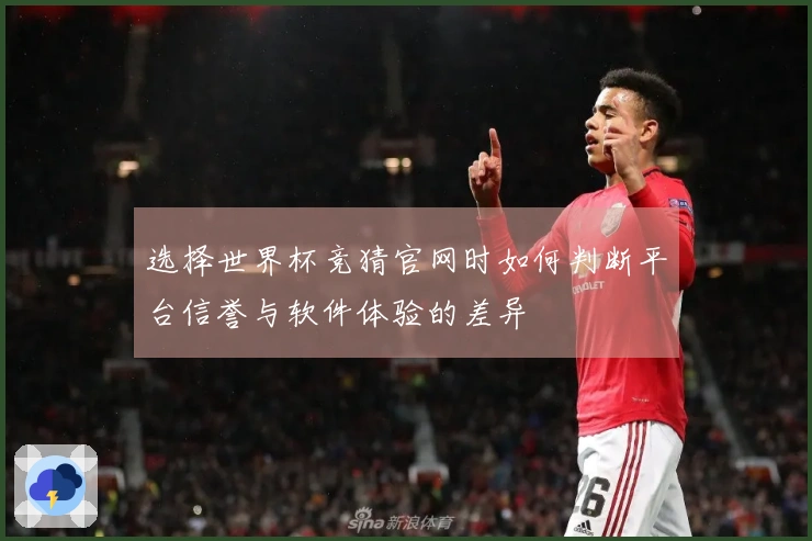 选择世界杯竞猜官网时如何判断平台信誉与软件体验的差异