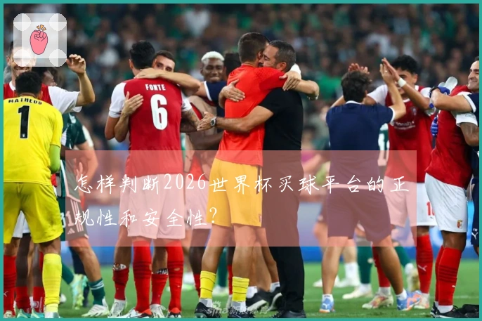 怎样判断2026世界杯买球平台的正规性和安全性？