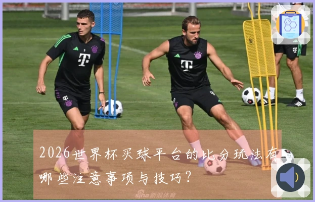 2026世界杯买球平台的比分玩法有哪些注意事项与技巧？
