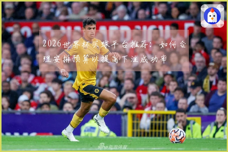2026世界杯买球平台推荐：如何合理安排预算以提高下注成功率