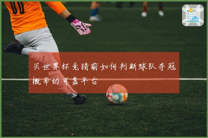 买世界杯竞猜前如何判断球队夺冠概率的可靠平台