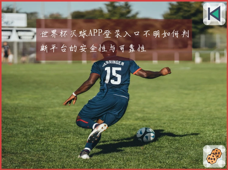 世界杯买球APP登录入口不明如何判断平台的安全性与可靠性