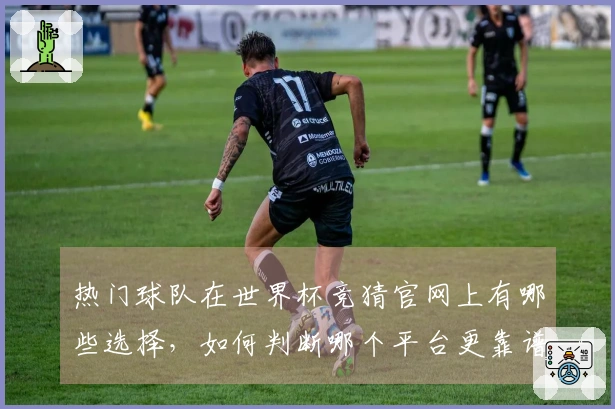 热门球队在世界杯竞猜官网上有哪些选择，如何判断哪个平台更靠谱？